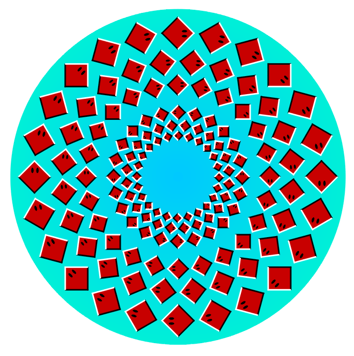 Optical Illusion Images Gif Funny (31)